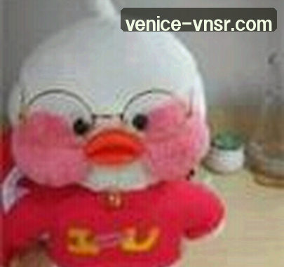 郑洁